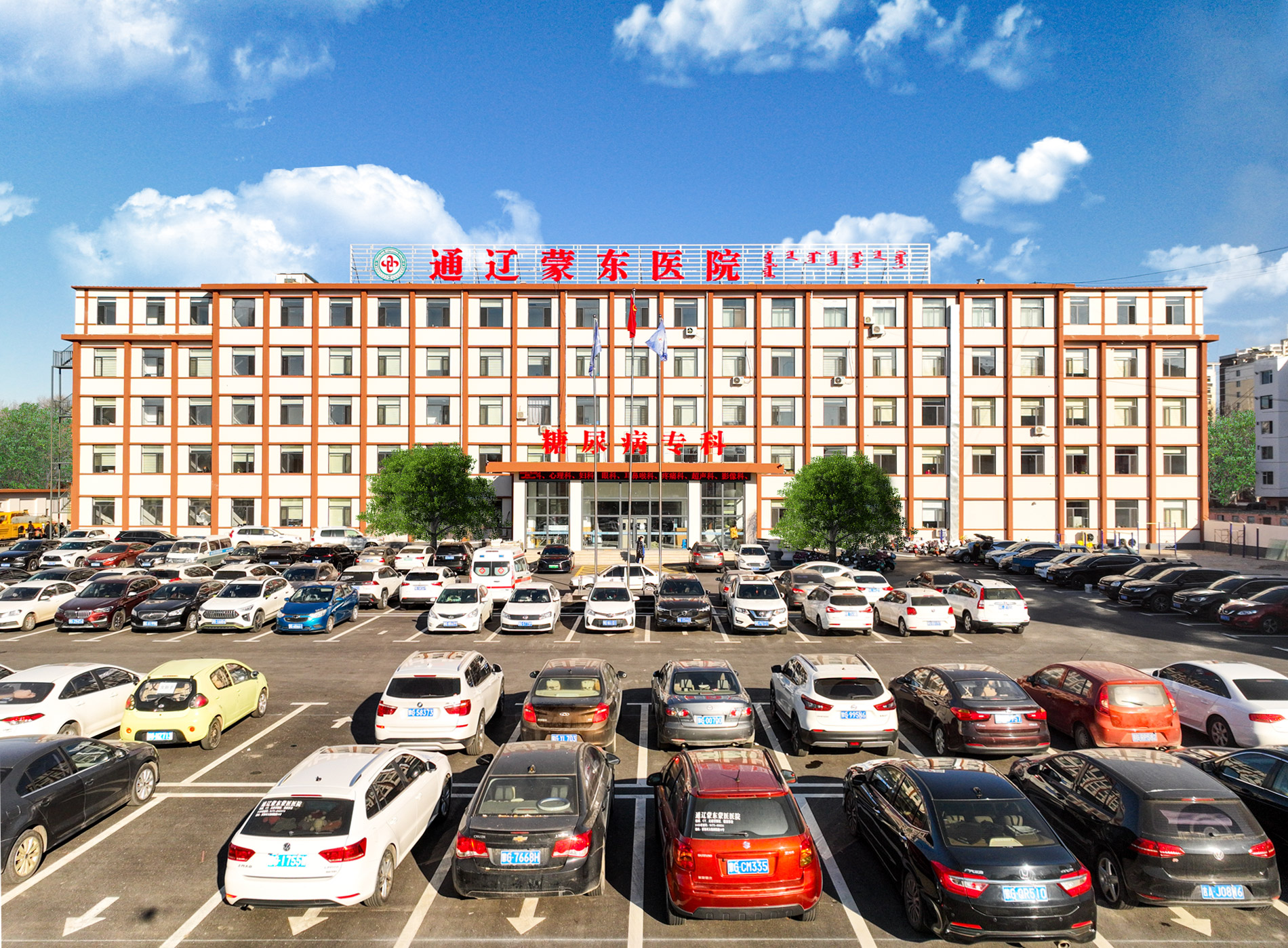 P1S-1树.jpg